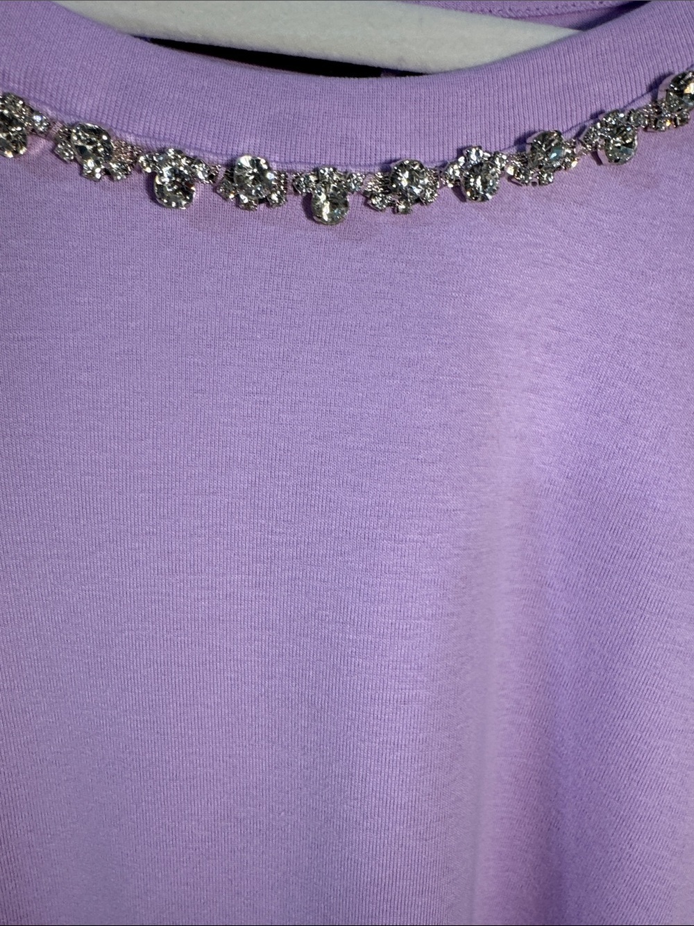 Rafaella Plus Size Embellished Crewneck Long-Sleeve Top - Lilac (Size 3X) - Picture 3 of 11